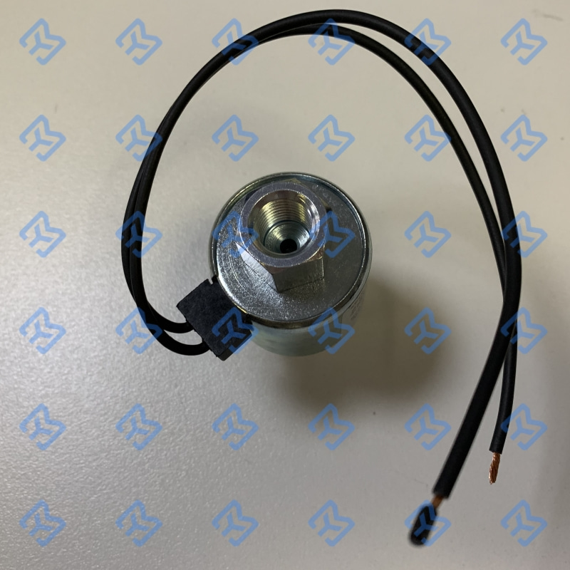 Válvula Solenoide de Propano de 12V 1/4' NPT para GLP Líquido 